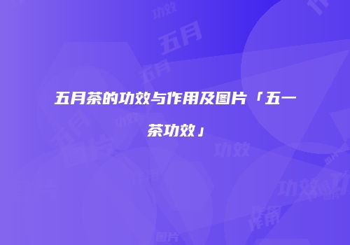 五月茶的功效与作用及图片「五一茶功效」