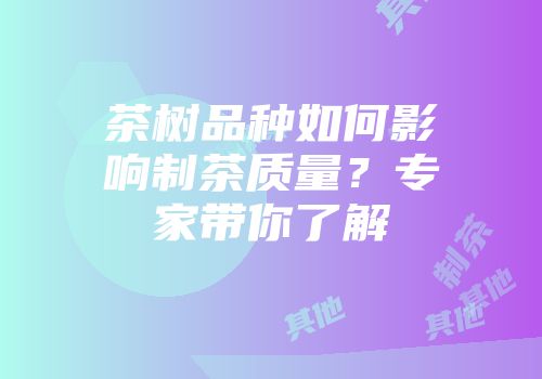 茶树品种如何影响制茶质量？专家带你了解
