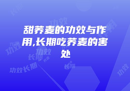 甜荞麦的功效与作用,长期吃荞麦的害处