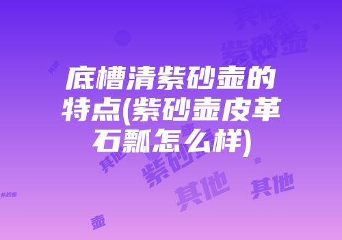 底槽清紫砂壶的特点(紫砂壶皮革石瓢怎么样)