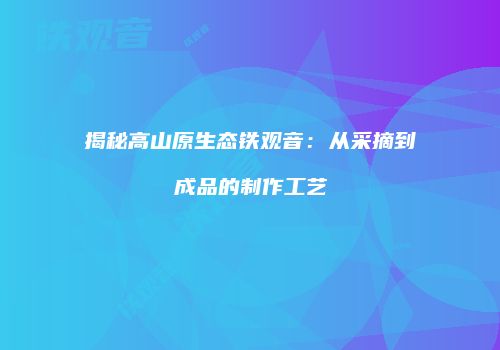 揭秘高山原生态铁观音：从采摘到成品的制作工艺