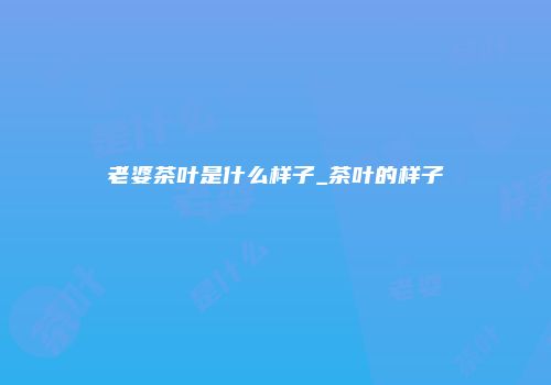 老婆茶叶是什么样子_茶叶的样子