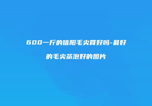 600一斤的信阳毛尖算好吗-最好的毛尖茶泡好的图片