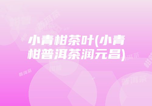 小青柑茶叶(小青柑普洱茶润元昌)