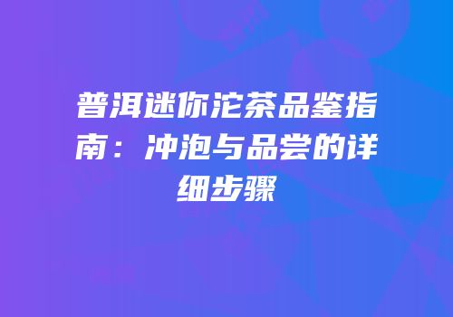 普洱迷你沱茶品鉴指南：冲泡与品尝的详细步骤