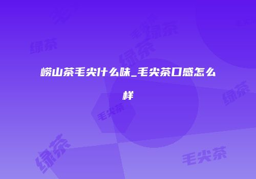 崂山茶毛尖什么味_毛尖茶口感怎么样