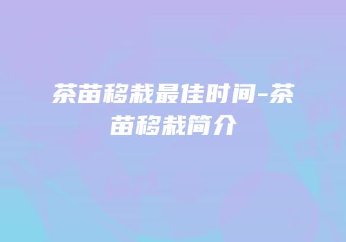 茶苗移栽最佳时间-茶苗移栽简介