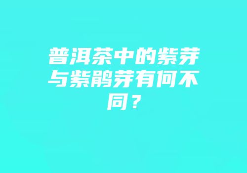 普洱茶中的紫芽与紫鹃芽有何不同？