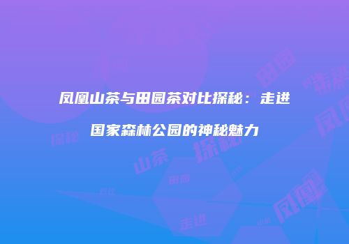 凤凰山茶与田园茶对比探秘：走进国家森林公园的神秘魅力