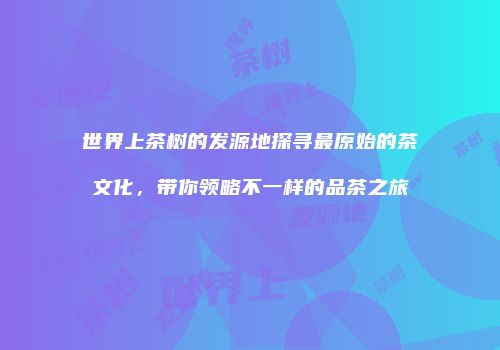 世界上茶树的发源地探寻最原始的茶文化，带你领略不一样的品茶之旅