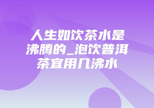 人生如饮茶水是沸腾的_泡饮普洱茶宜用几沸水