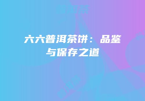 六六普洱茶饼：品鉴与保存之道