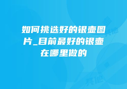 如何挑选好的银壶图片_目前最好的银壶在哪里做的