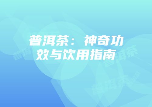 普洱茶：神奇功效与饮用指南