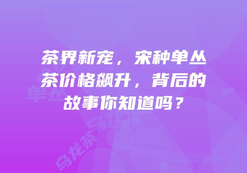 茶界新宠，宋种单丛茶价格飙升，背后的故事你知道吗？