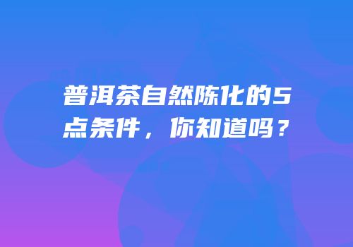 普洱茶自然陈化的5点条件，你知道吗？