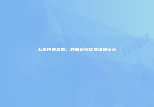 五步挑选攻略：教你识别优质玫瑰花茶