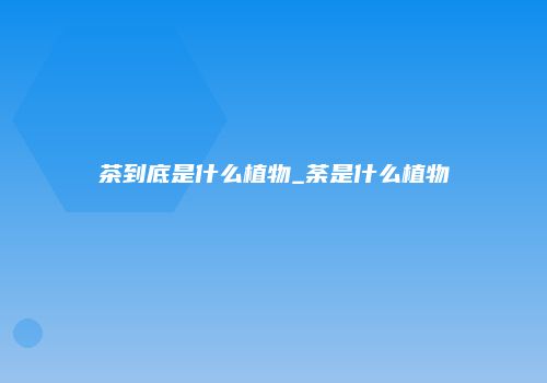 茶到底是什么植物_荼是什么植物