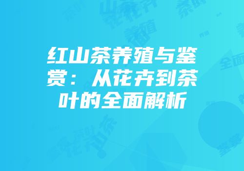 红山茶养殖与鉴赏：从花卉到茶叶的全面解析