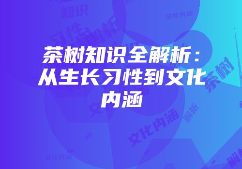 茶树知识全解析：从生长习性到文化内涵