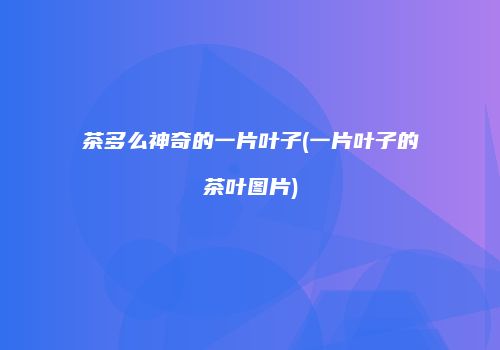 茶多么神奇的一片叶子(一片叶子的茶叶图片)