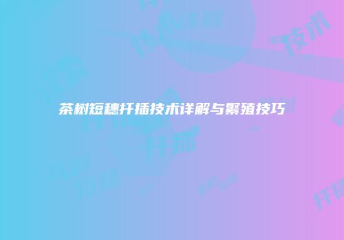茶树短穗扦插技术详解与繁殖技巧