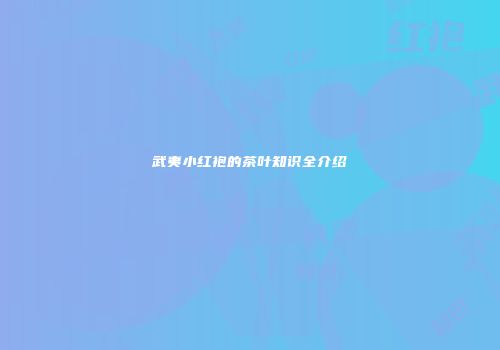 武夷小红袍的茶叶知识全介绍