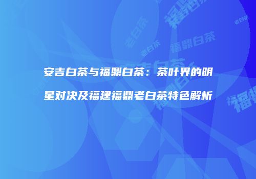 安吉白茶与福鼎白茶：茶叶界的明星对决及福建福鼎老白茶特色解析