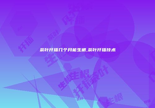 茶叶扦插几个月能生根,茶叶扦插技术