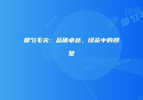 都匀毛尖：品质卓越，绿茶中的翘楚