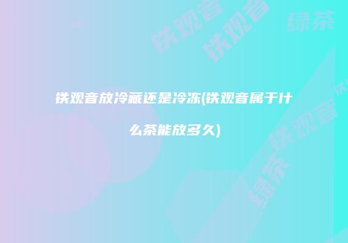 铁观音放冷藏还是冷冻(铁观音属于什么茶能放多久)