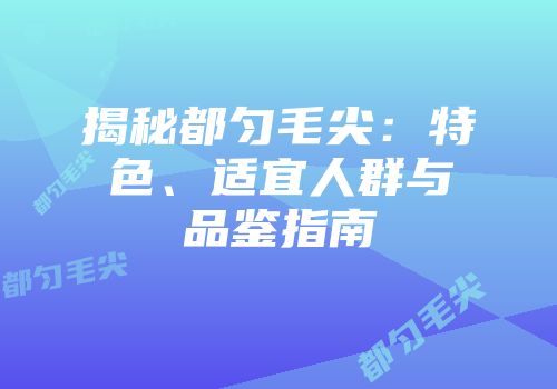 揭秘都匀毛尖：特色、适宜人群与品鉴指南