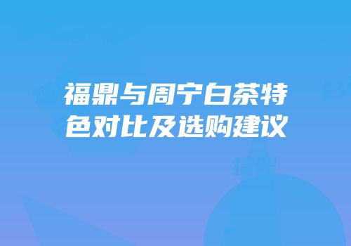 福鼎与周宁白茶特色对比及选购建议