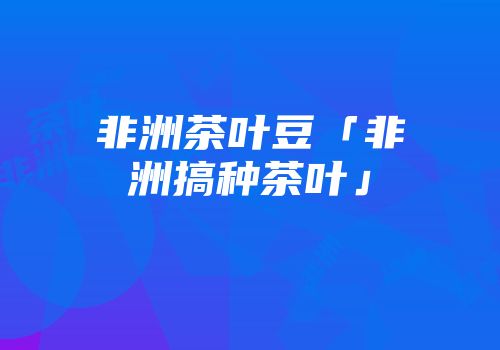非洲茶叶豆「非洲搞种茶叶」