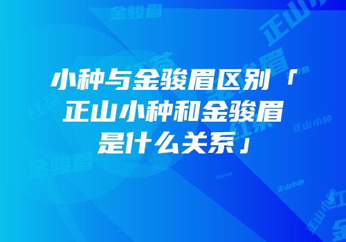 小种与金骏眉区别「正山小种和金骏眉是什么关系」