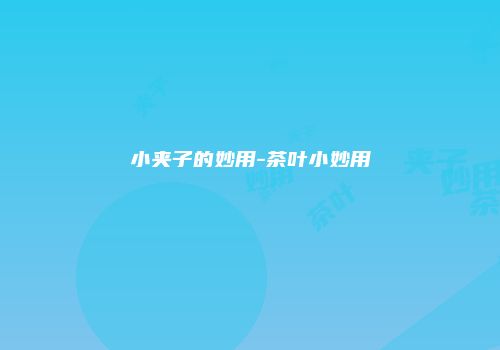小夹子的妙用-茶叶小妙用