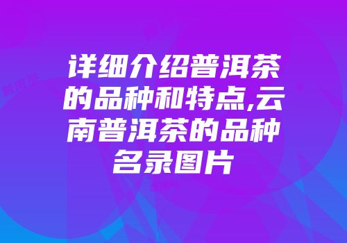 详细介绍普洱茶的品种和特点,云南普洱茶的品种名录图片
