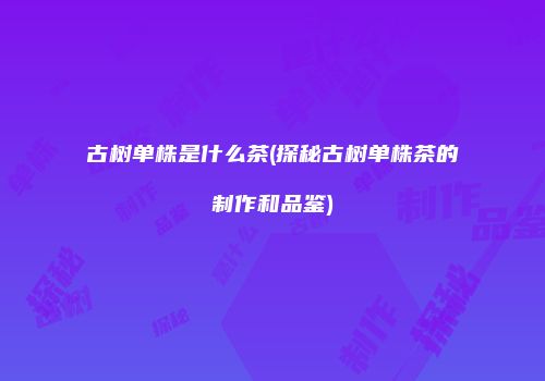 古树单株是什么茶(探秘古树单株茶的制作和品鉴)