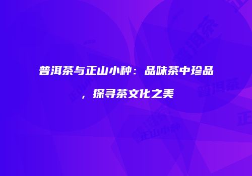 普洱茶与正山小种：品味茶中珍品，探寻茶文化之美