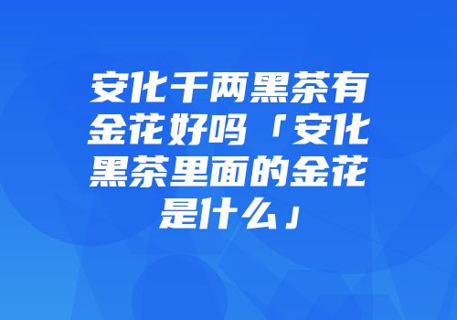 安化千两黑茶有金花好吗「安化黑茶里面的金花是什么」