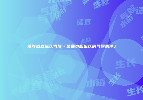 茶叶适宜生长气候「适合水稻生长的气候条件」
