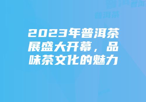 2023年普洱茶展盛大开幕，品味茶文化的魅力