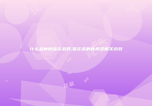 什么品种的菊花茶好,菊花茶的种类及相关功效