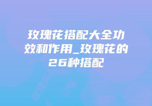 玫瑰花搭配大全功效和作用_玫瑰花的26种搭配