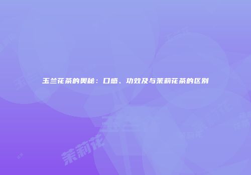 玉兰花茶的奥秘：口感、功效及与茉莉花茶的区别
