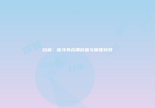 白茶：探寻其药用价值与保健功效