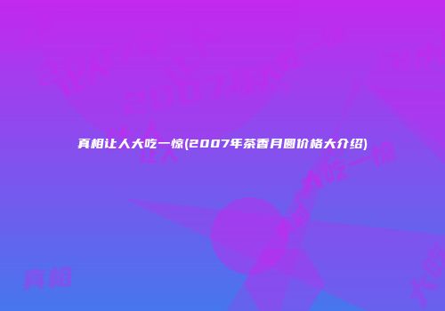 真相让人大吃一惊(2007年茶香月圆价格大介绍)