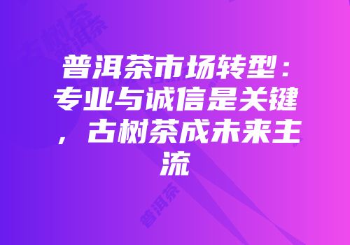 普洱茶市场转型：专业与诚信是关键，古树茶成未来主流