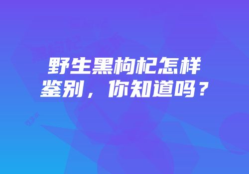 野生黑枸杞怎样鉴别，你知道吗？