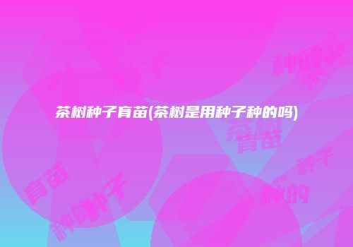 茶树种子育苗(茶树是用种子种的吗)